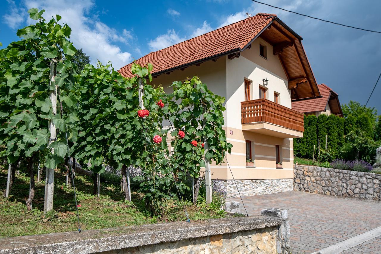 Vineyard Cottage Pod Piramido Dobrnic Zewnętrze zdjęcie