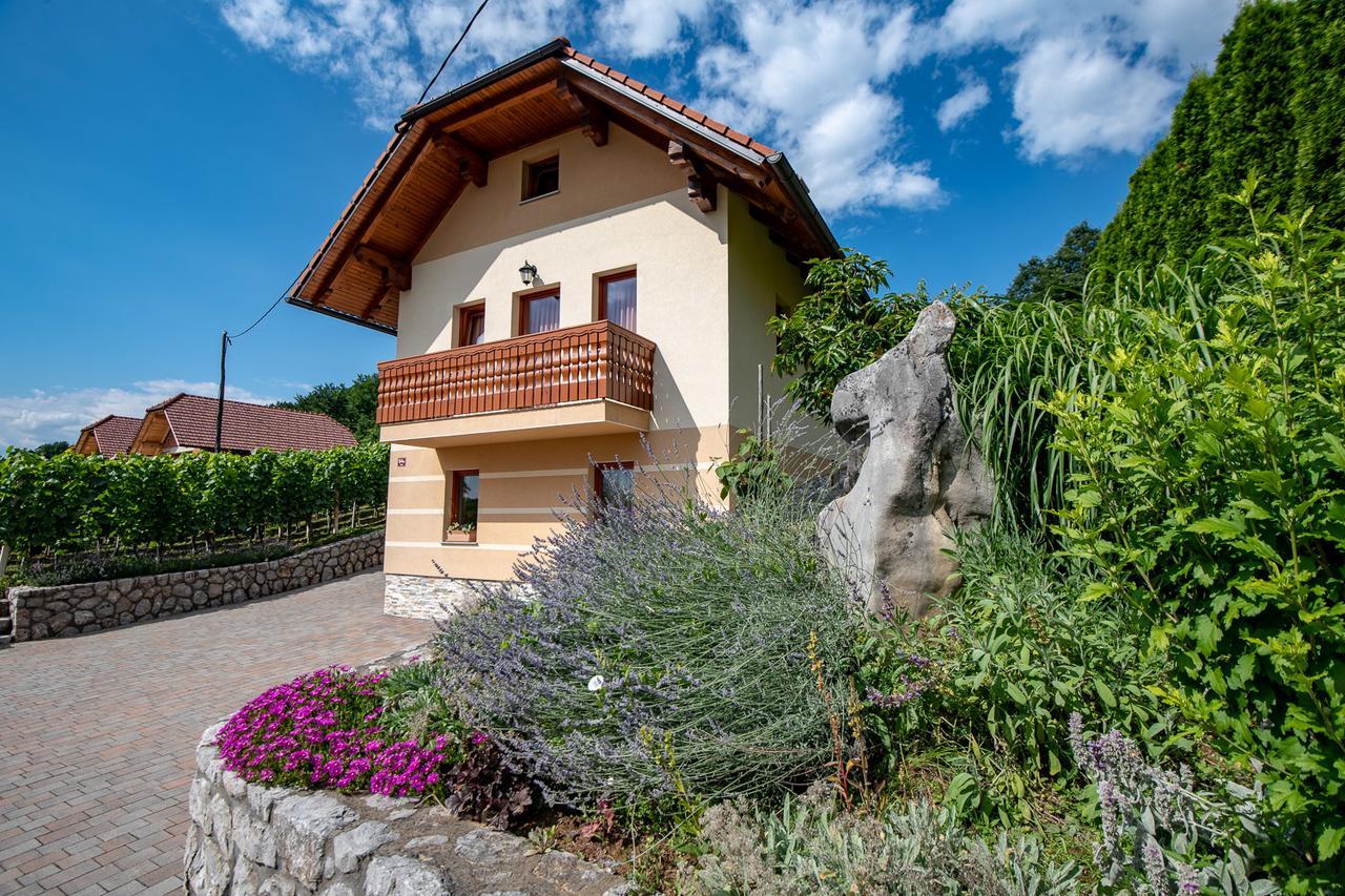Vineyard Cottage Pod Piramido Dobrnic Zewnętrze zdjęcie