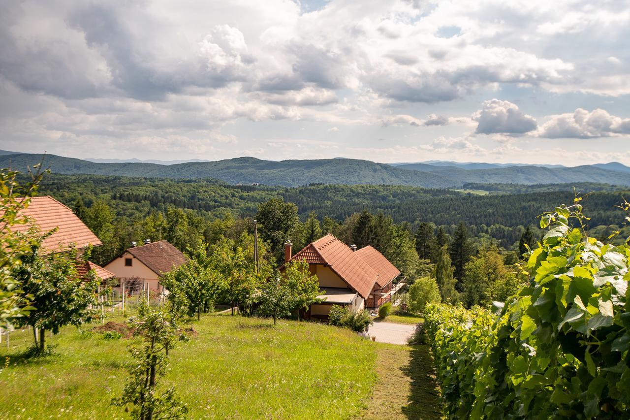 Vineyard Cottage Pod Piramido Dobrnic Zewnętrze zdjęcie