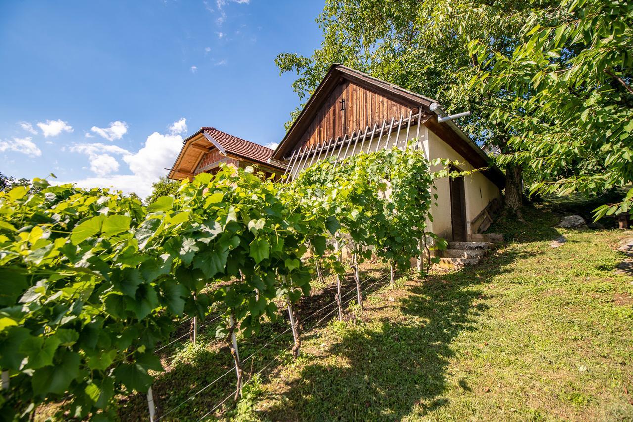 Vineyard Cottage Pod Piramido Dobrnic Zewnętrze zdjęcie